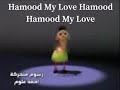 What does hamood habibi says