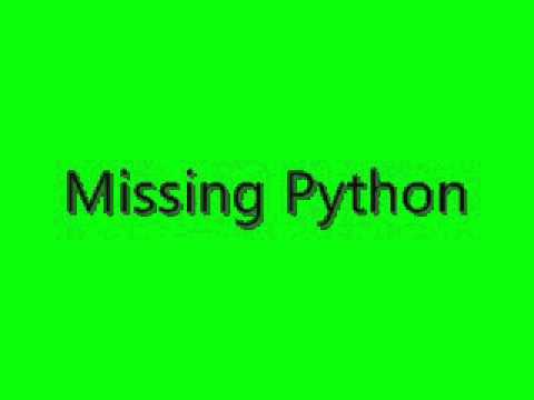 VersonoGaming Pet Python Prank Call