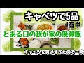 キャベツ晩御飯!!笑【レシピ】【美味しい】 の動画、YouTube動画。