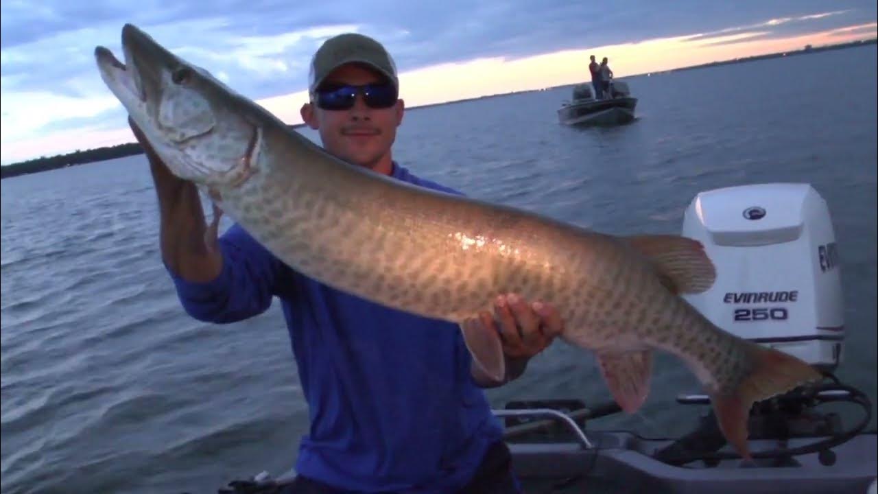 Insane Musky Topwater Strike!! Hard Fighting Minnesota Muskie YouTube