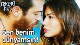 Sen Benim Dünyamsin Erkenci Kuş