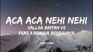 Aca aca nehi nehi sallsa bintan feat 3 pemuda berbahaya (lirik lagu)