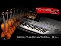 Yamaha Tyros5 Demo - Ensemble Voices - Strings