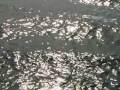 Burkhard Mahler - FUSIONS ELEVEN