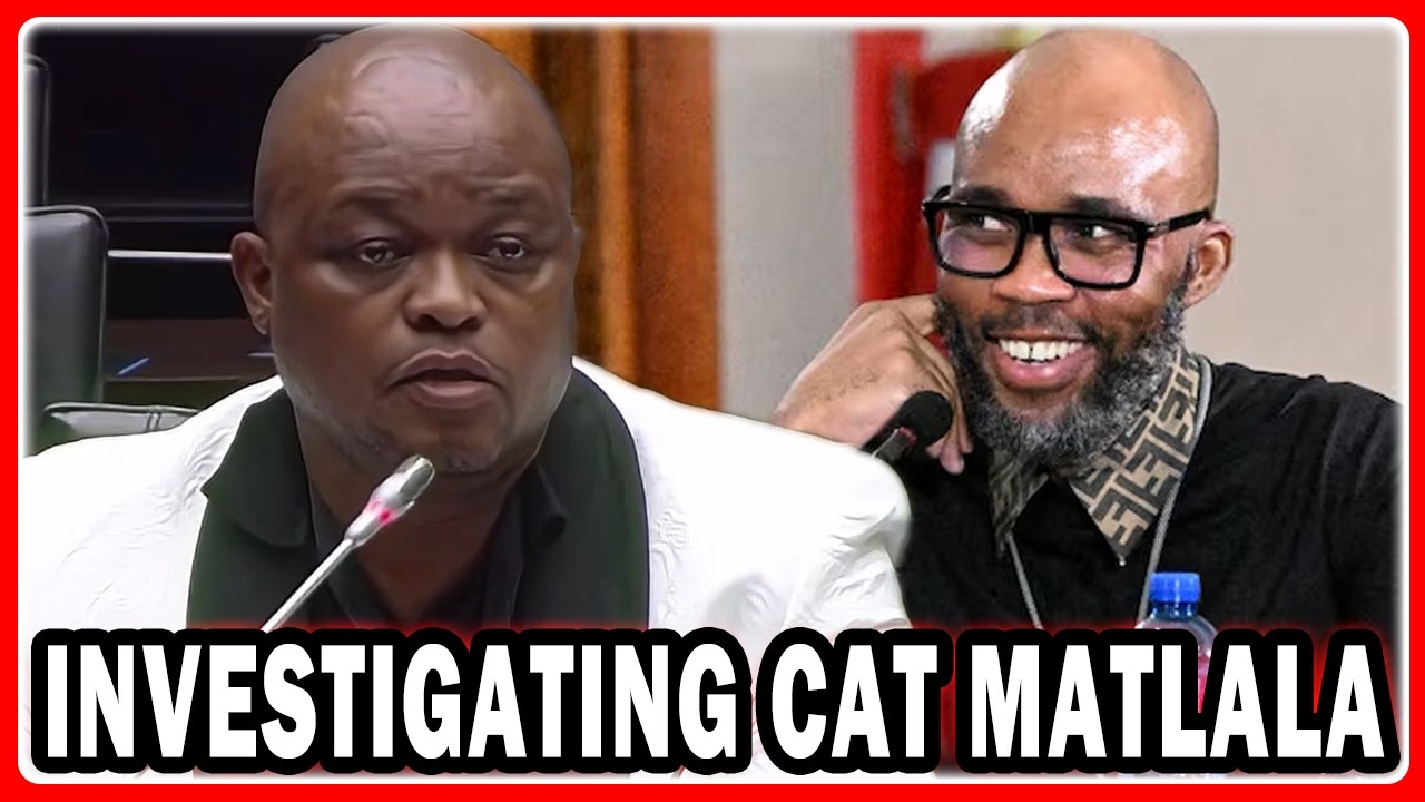 Brown Mogotsi On Investigating Cat Matlala “My Job Was To Find If The Tender Was Lawful”