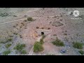 El Túnel Ferroviario Más Desconocido De La Ruta illapel-Conbarbala.