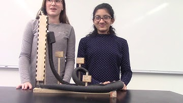 Roller Coaster & Marble Shaft by Alana and Sophia