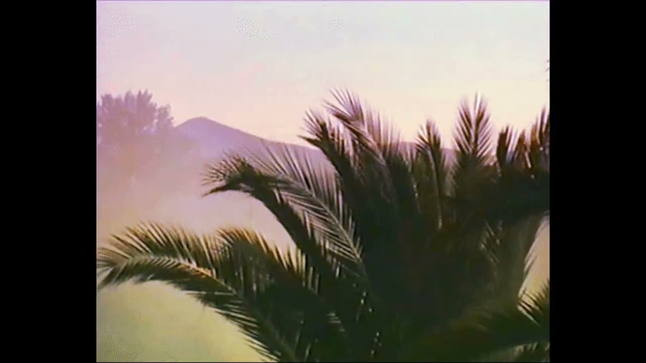 Aya Nakamura - Daddy (slowed & reverbed beautifully)