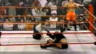 Celebrity Top 40 moves of Trinity (Stephanie Finochio) Profile