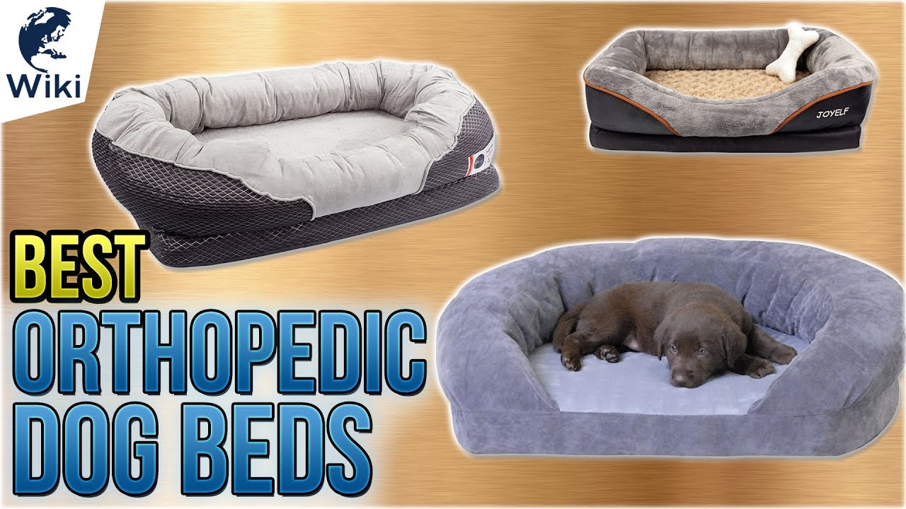 best orthopedic dog bed 2019