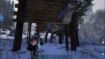 How to easily tame a procoptodon | Ark Made Simple