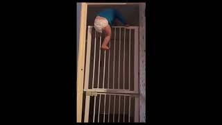 Baby Escapes Very Funny Cute Baby Bricht Aus Kletttert Über Gitter