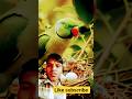 parrot |facts | moralstories |greenparrot |greenpet |funny parrot| funny pet |cute parrot |cute pet|