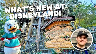 What's New & What's Happening at Disneyland - Adventureland Treehouse & Holiday Entertainment