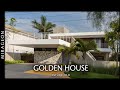 Designed with dogs as family members  golden house