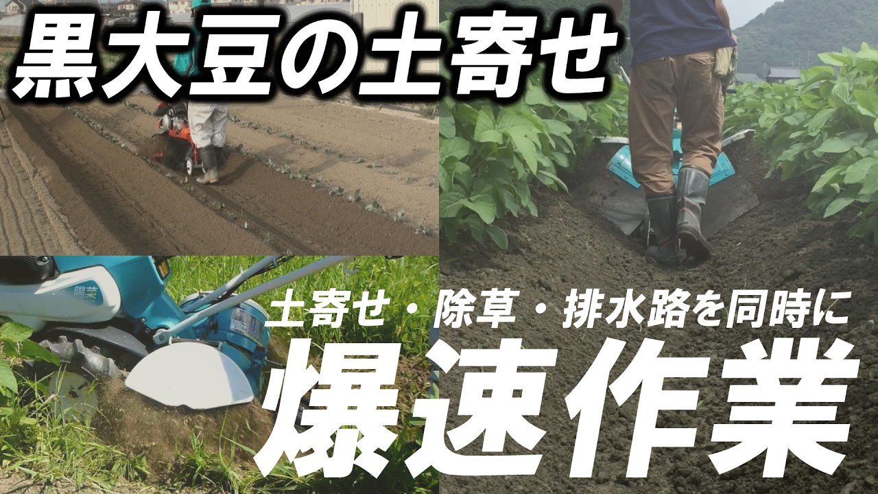 黒大豆土寄せセット　クボタ 適応管理機｜黒大豆・大豆土寄せセット｜管理機用アタッチメント｜製品