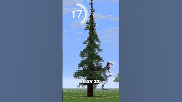 50 Trees in 41 Seconds