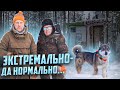 Холодная ночь в  ледяной избе, сломали печку , с друзьями дали дуба....