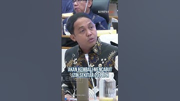 Raja Juli Akan Cabut Izin 20 Perusahaan Pengelola Hutan, tapi Tunggu Restu Prabowo