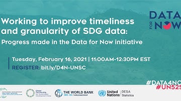 Working to improve timeliness and granularity of SDG data: Progress made in the Data4Now initiative