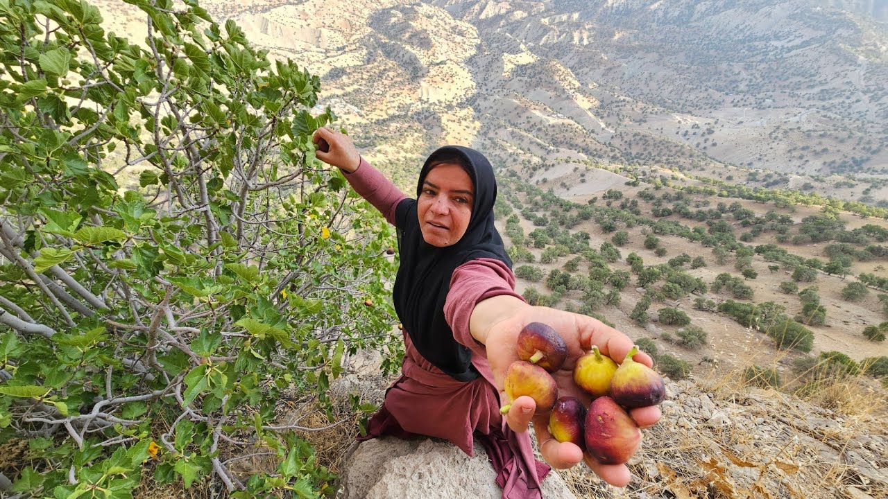 Exciting Travel Story: 🧗‍♀️ Kulthum's Breathtaking Search for the Mountain Fig Tree! 🍈⛰️