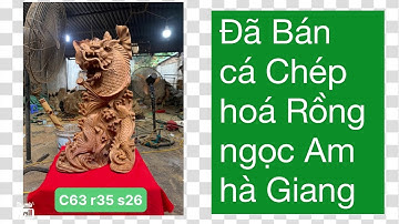 Báo giá cụ CÁ CHÉP HOÁ RỒNG ngọc am hà giang zalo: 0868289098
