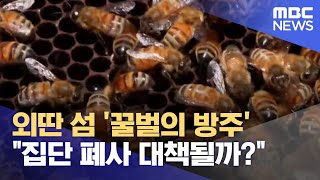 외딴 섬 '꿀벌의 방주'‥ "집단 폐사 대책될까?" (2024.05.15/뉴스데스크/전주MBC)