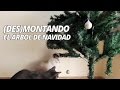 Des-Montando el árbol de navidad con gatos alrededor | Funny Cats