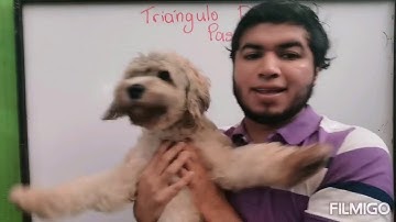 Triángulo de Pascal