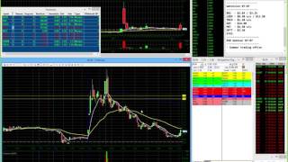 Day Trading Webinar - $LEDS $BGI $BLIN Trades