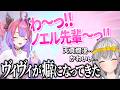 ヴィヴィが好きすぎる話をするノエル団長【ホロライブ/切り抜き/hololive/白銀ノエル/綺々羅々ヴィヴィ】
