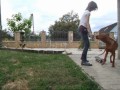 2011 06 24  dorka dog dancing training