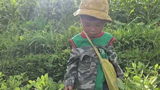 Full Video: The Last Days of Elephant Boy Living with His Aunt