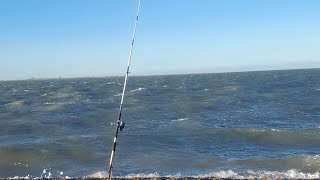 Pesca en "BAHIA SAN BLAS"Patagonia Argentina primera parte.