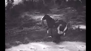 Whiplash Off Screen Kill, Hot Bubbling Quicksand