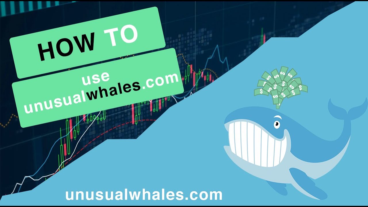 A full walkthrough of Unusual Whales (VOD) (OUTDATED)
