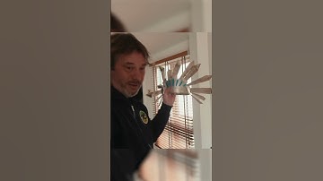 A little bit of Jamiroquai history right here! #jamiroquai  #tiktokfashionmonth #shorts #hats