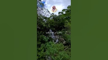 #ماهر_المعيقلي  #سورة_الشعراء الآيات 225-226-227
