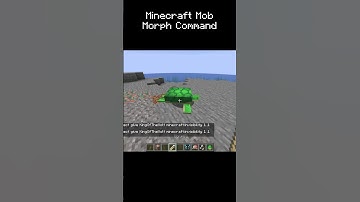 Mob Morph Command 💥 #minecraft #gaming #morph #minecraftmorph