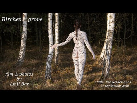 Art video: Birches grove body-painting by Amit Bar