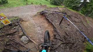 Mud and roots - Leogang