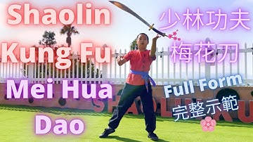 ► Shaolin Kung Fu - Mei Hua Dao 😱🔪 Demonstrating #梅花刀 #少林功夫 #少林梅花刀 🔥 #功夫教學 教學 示範 表演 Performance Show