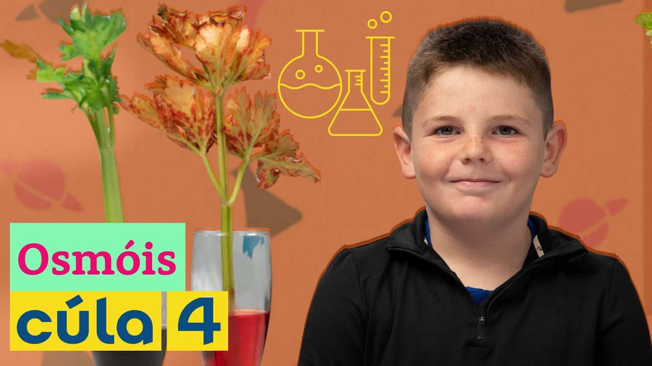 Splanc! | Osmóis 🍁🧪