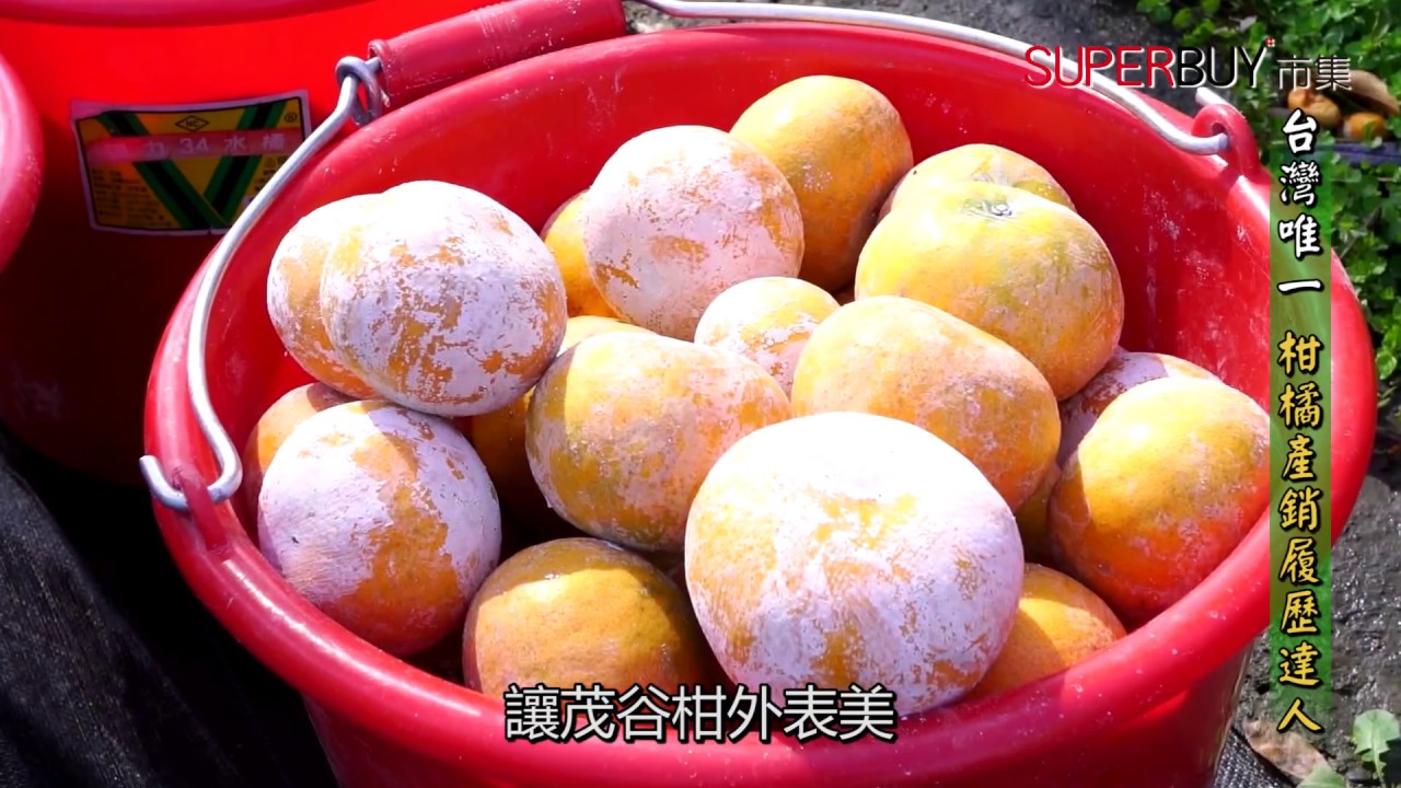 產銷履歷茂谷柑 大顆 小箱 瑞軒農場 Superbuy市集 給您健康的好味道