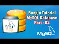 MySQL Database Part-02 (Insert Query)