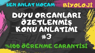 Duyu Organlari Özetlenmi̇ş Konu Anlatimi 3 Di̇l - Burun Yapisi Ayt Bi̇yoloji̇ 