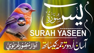Surah Yasin (Suart Yaseen) Urdu Translation | Relaxing Quran Recitation | Qari Mansoor Ghaznavi screenshot 5
