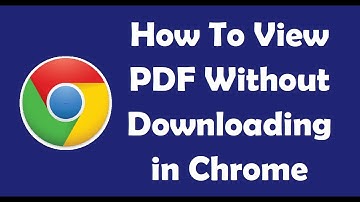 How To View PDF Without Downloading in Chrome
