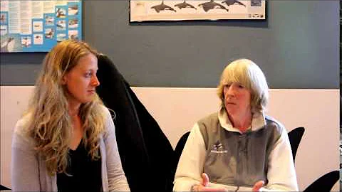 An Interview with Sandra Pollard
