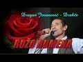 RUŽO RUMENA - Dragan Jovanović